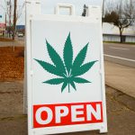 blog-news-tph-786-cannabis-business-times-1-image